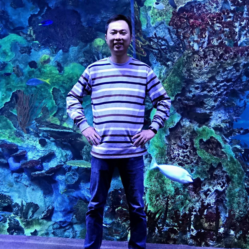 智淘一宝的照片