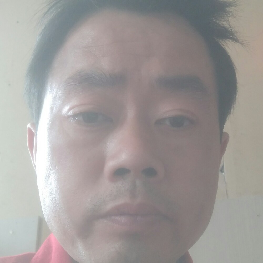 美好爱鸵鸟的照片