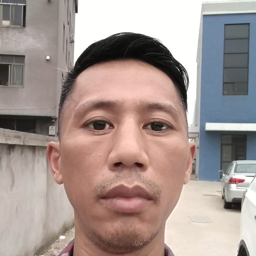小海豚打淡淡的照片