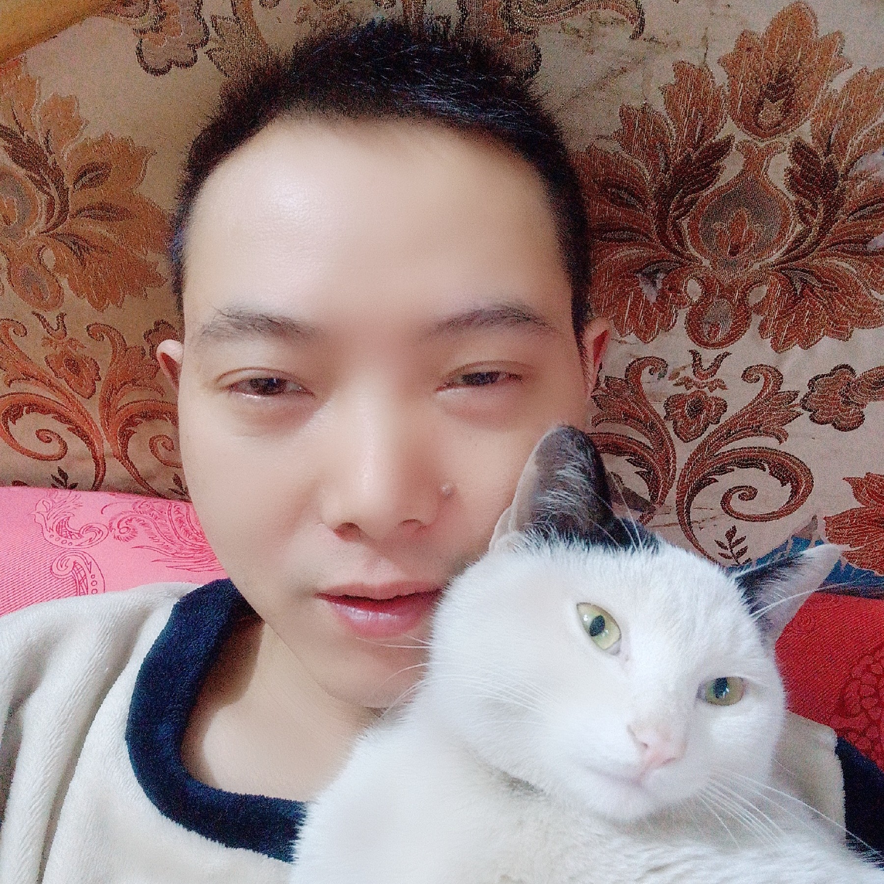含羞草精明520的照片