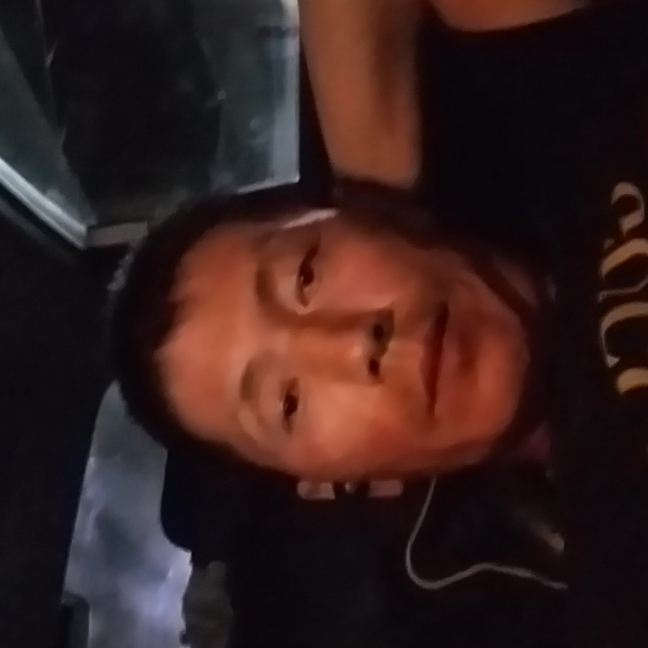 真淳说长颈鹿的照片
