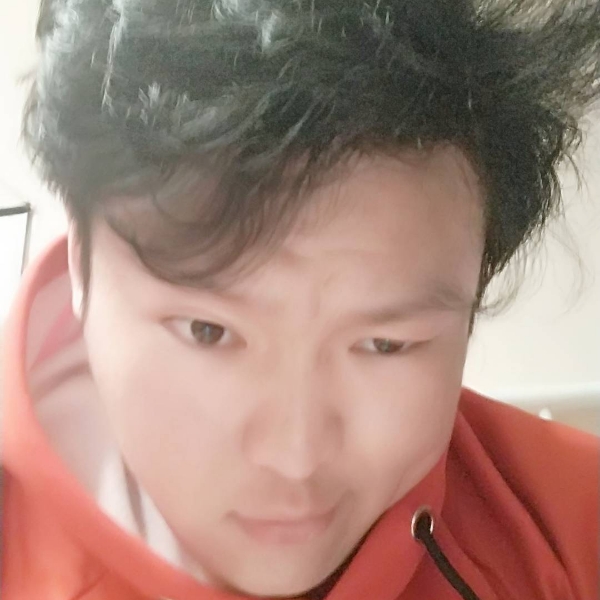 tow dog的照片