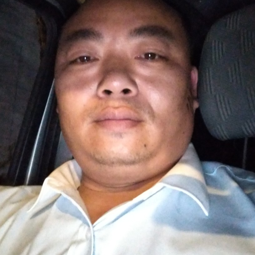 野狼苦恋轻松的照片