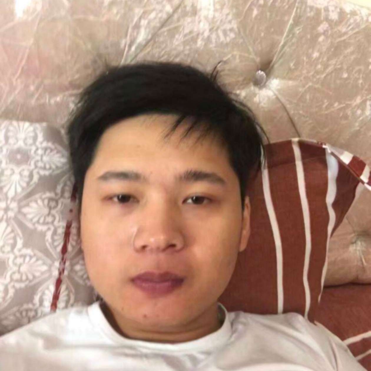 爱睡觉de罗伊照片