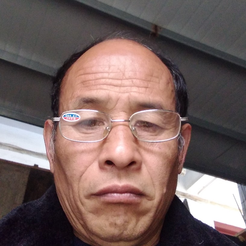 矫情停止洋葱的照片