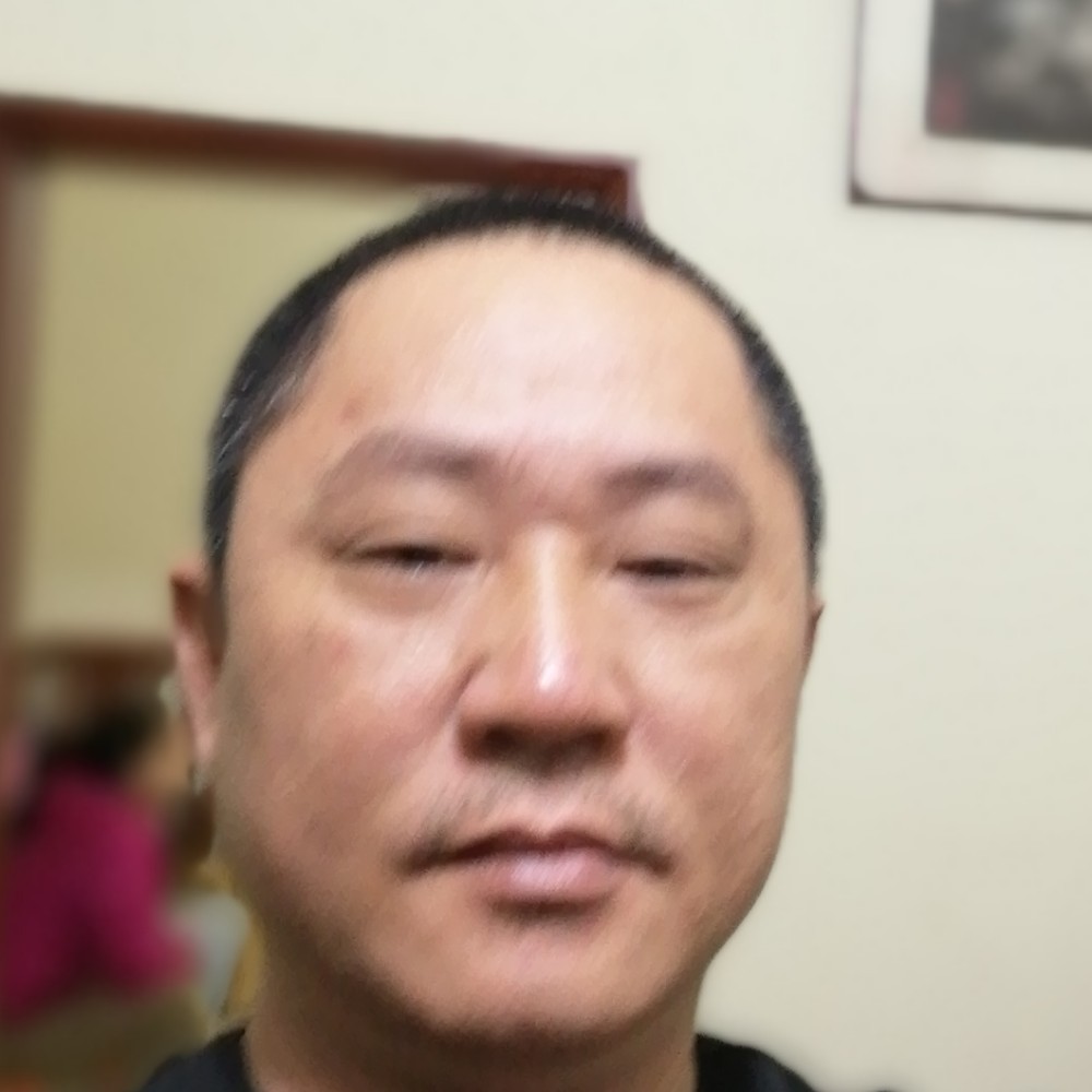 南鸢等待复杂的照片