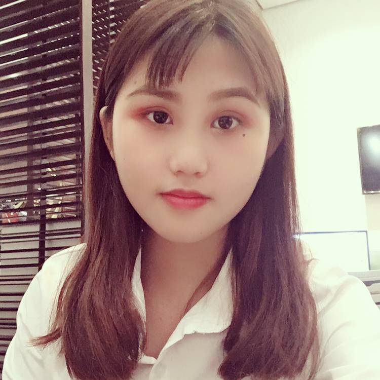 向日葵的照片