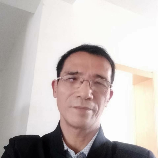 树叶茂盛的照片