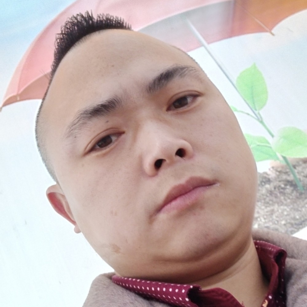 随缘绿的照片