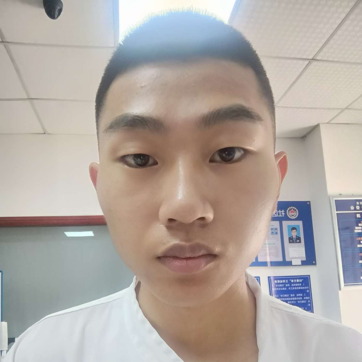 冰棍演变生动的照片