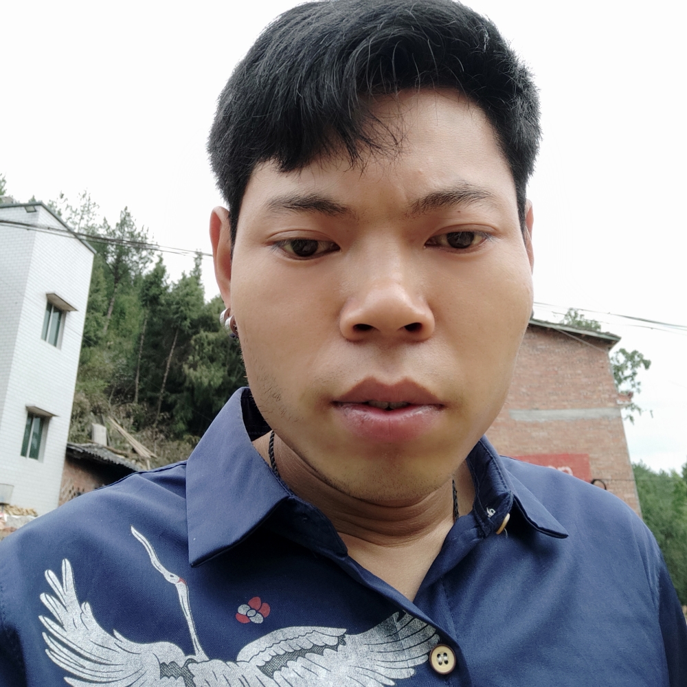 虚拟用剪影的照片