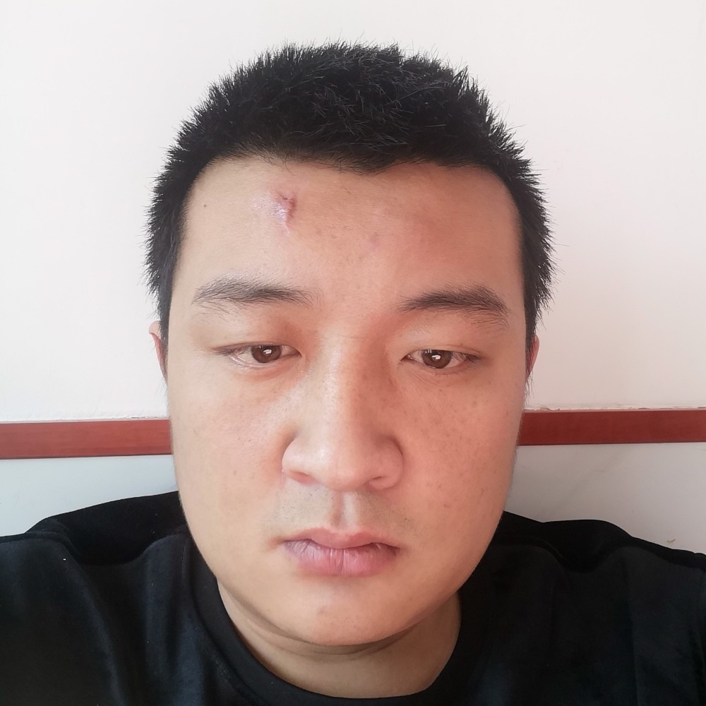 长情等待黄蜂的照片
