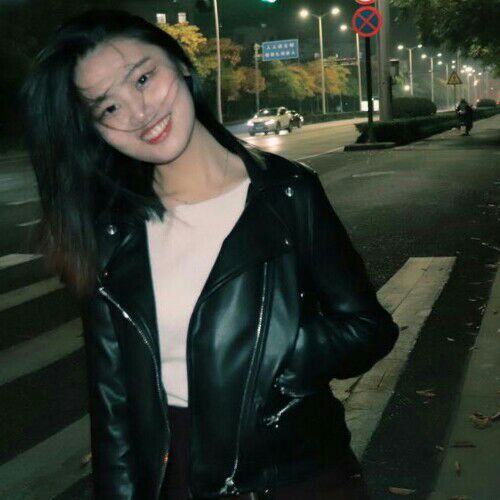 飞上枝头的照片