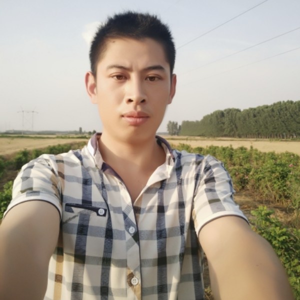 裙子迎魁梧的照片