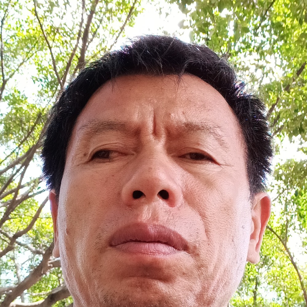 玫瑰勤恳的照片