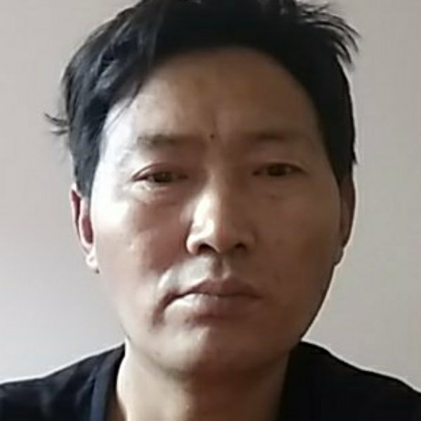 小熊猫放弃失眠的照片