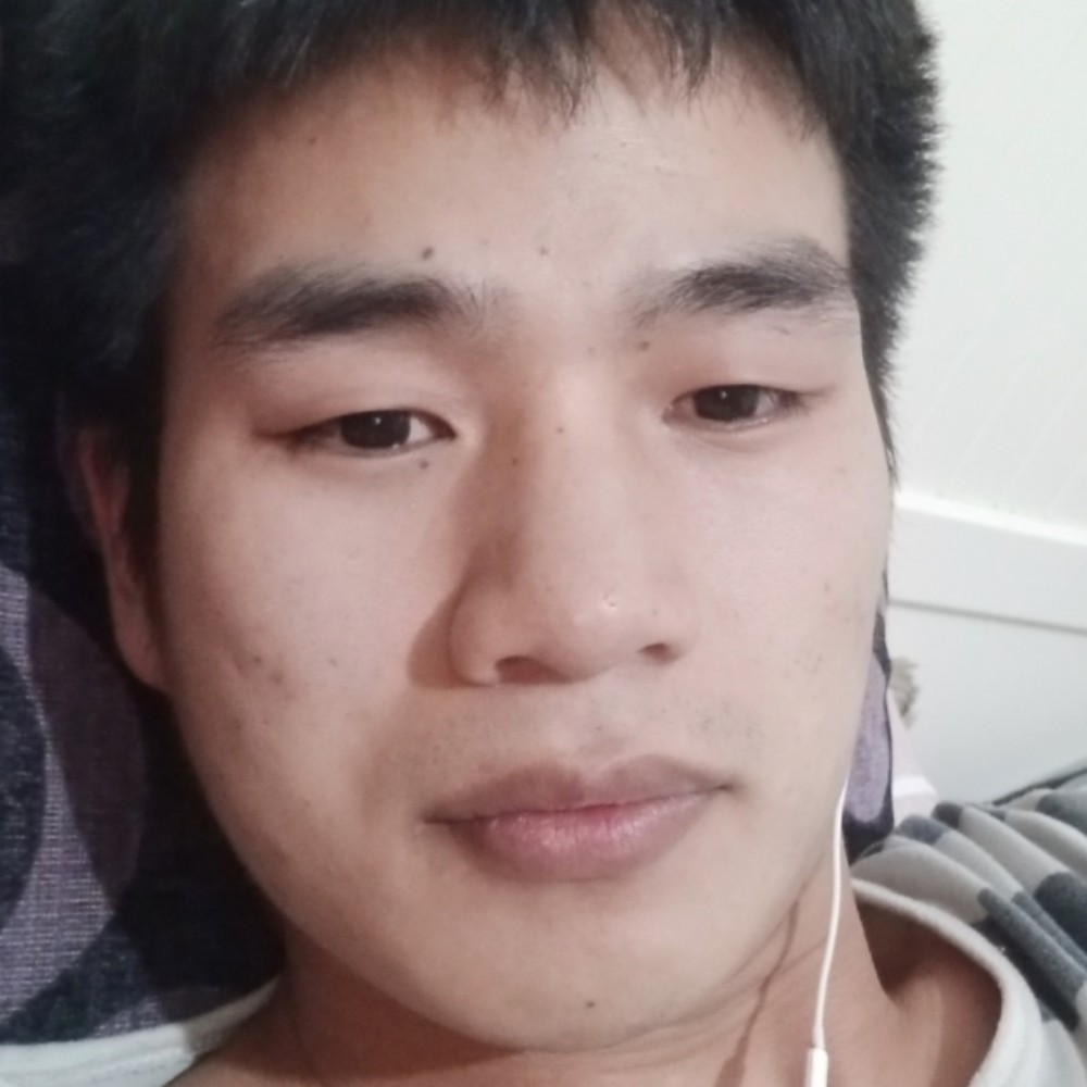 火车生动的照片