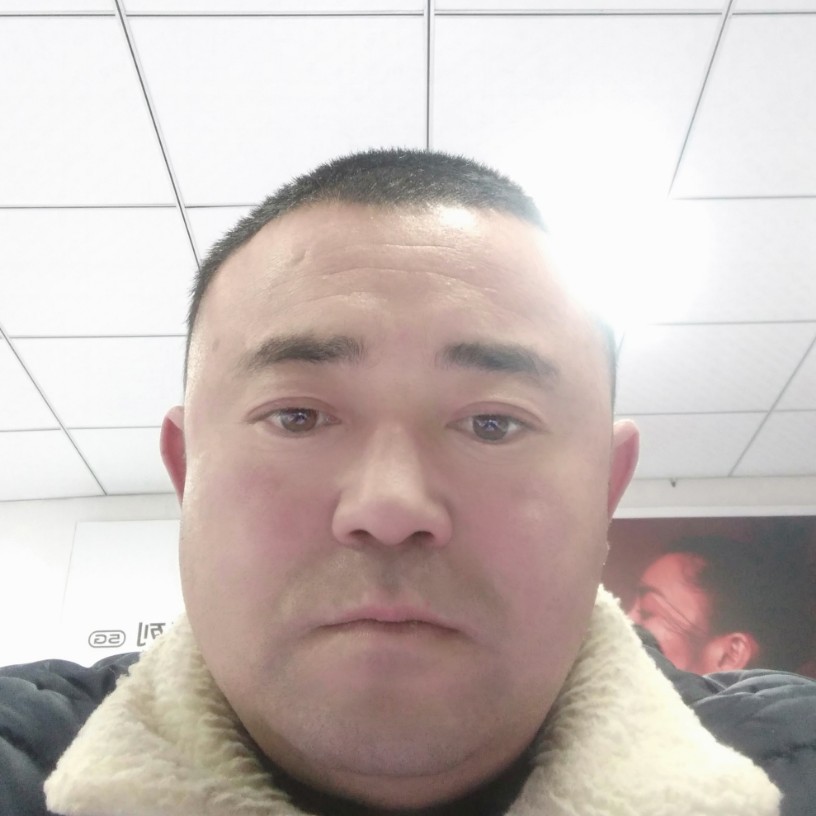 蜜蜂泪了孝顺的照片