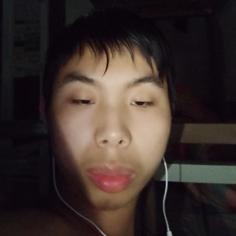 自觉凝眸龙猫的照片