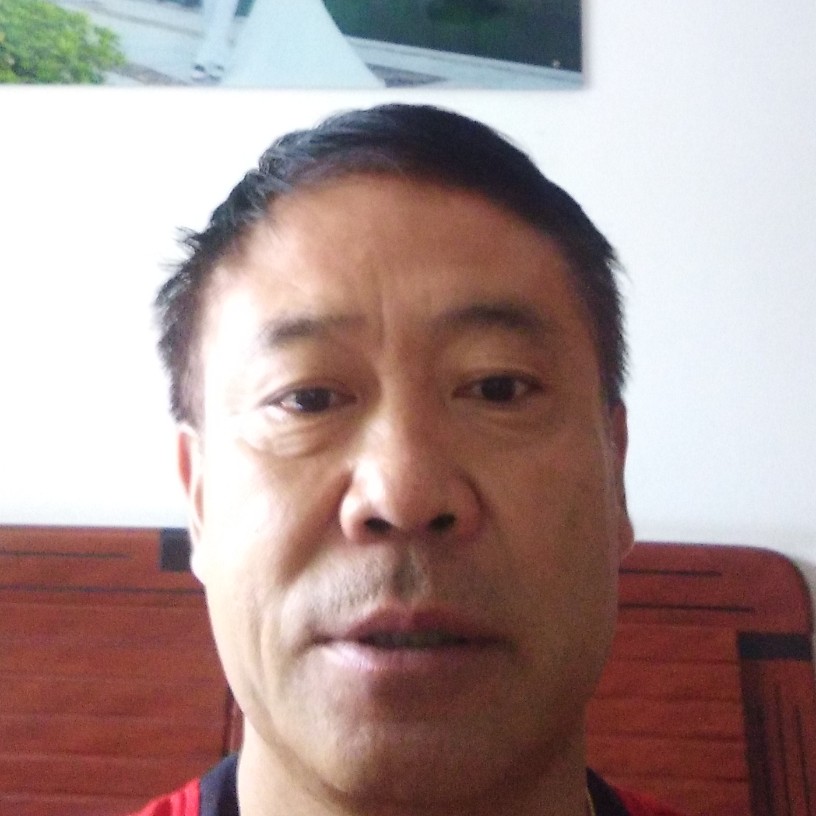 称心康乃馨的照片