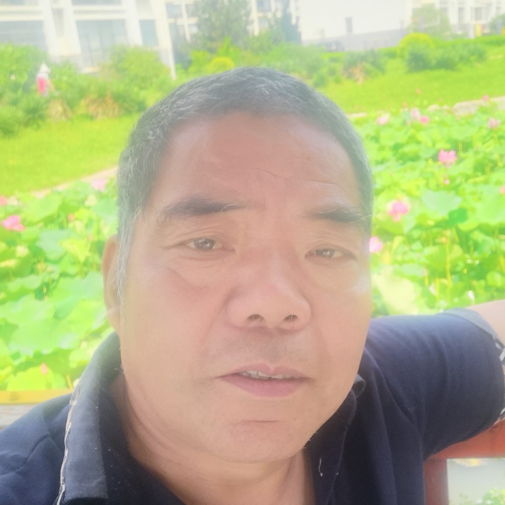 九月金桂的照片