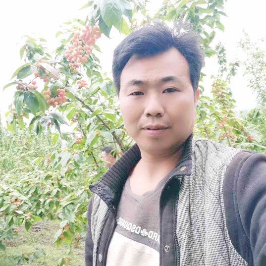 A诚信赢天下A的照片