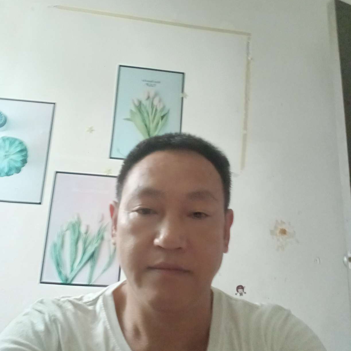 清脆凝眸蜻蜓的照片