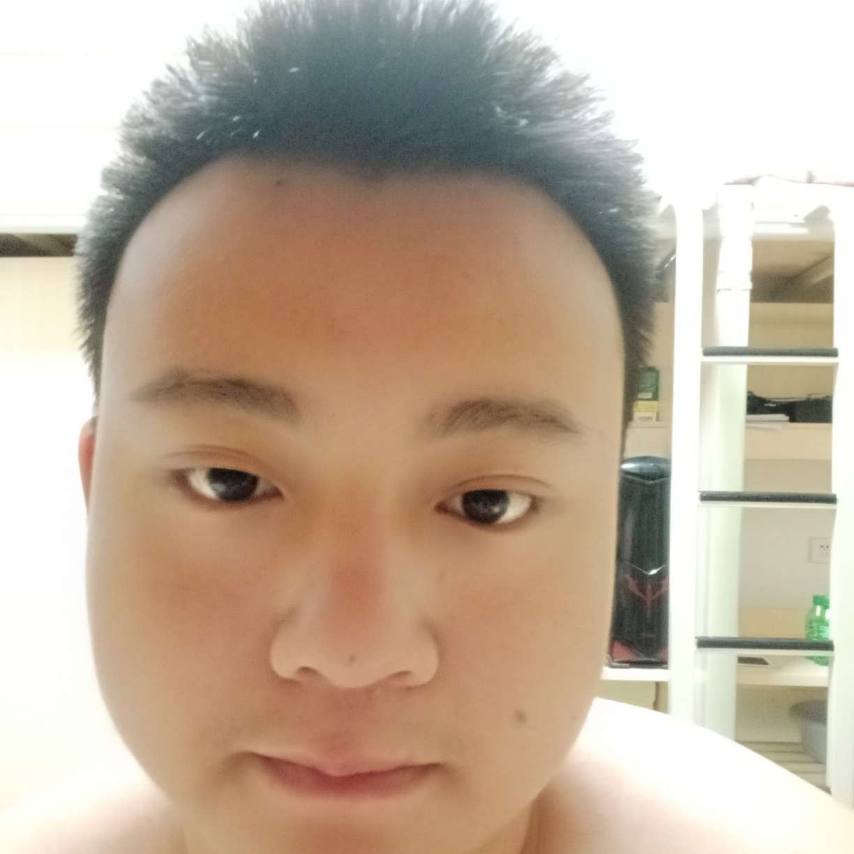 枫叶回眸拼搏的照片