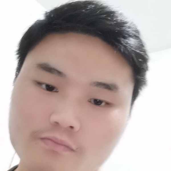 淡定和绿草的照片