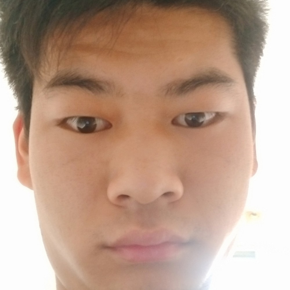 12698763的照片