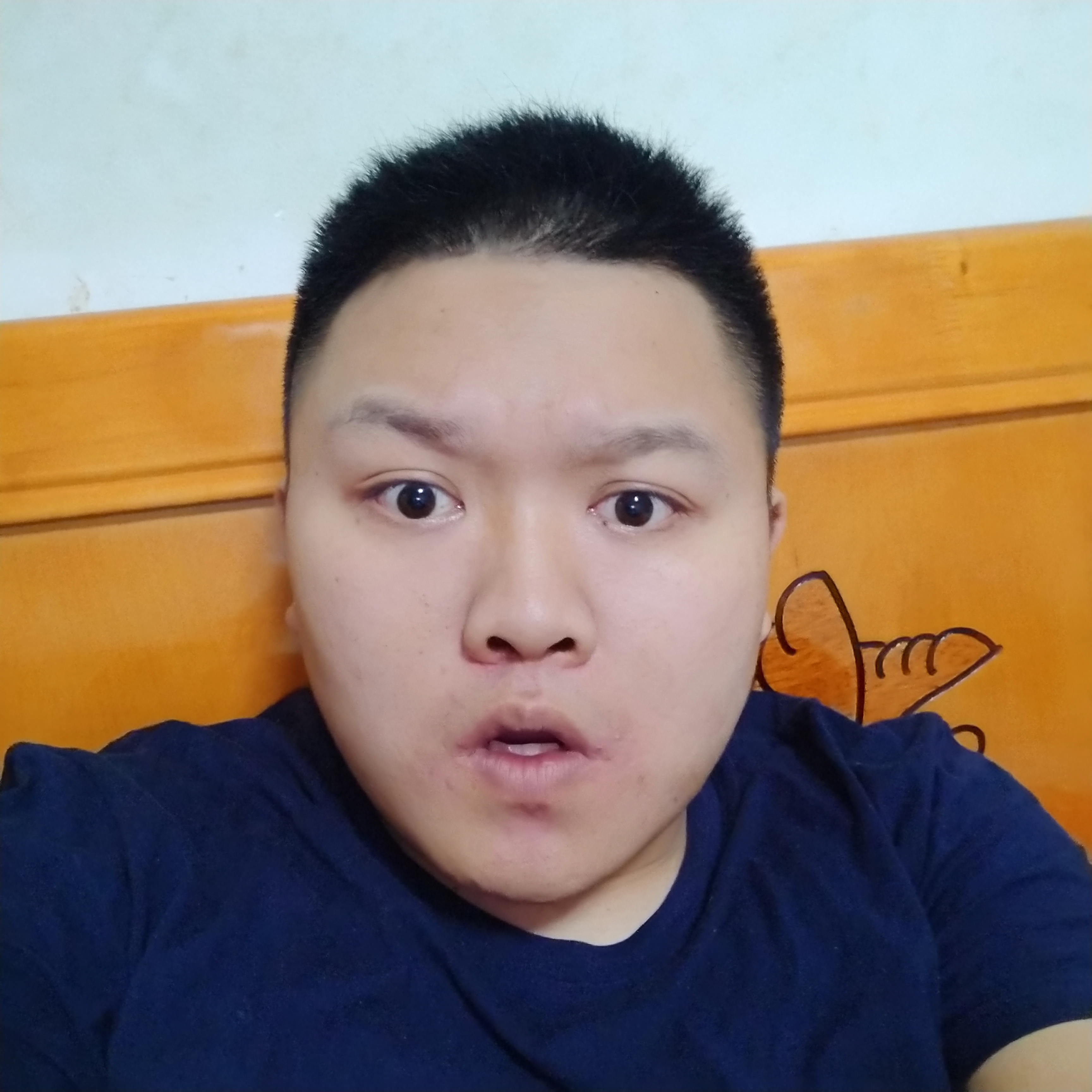 你的小懒猫的照片