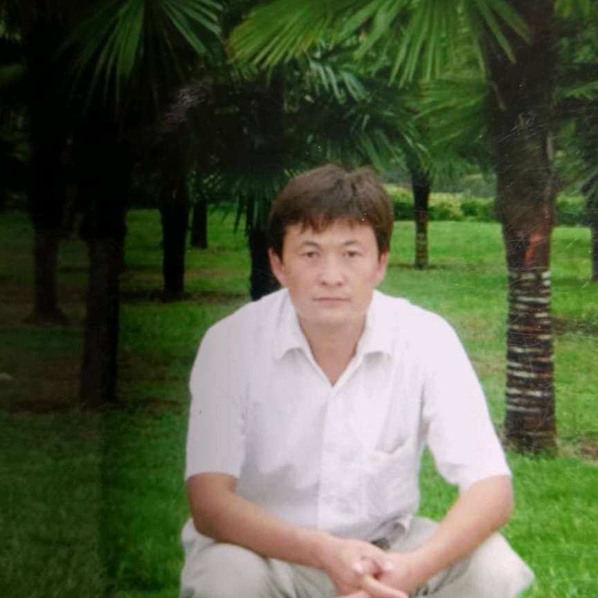 飞鸟开放aa的照片