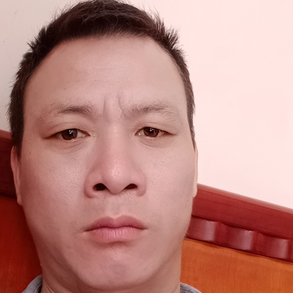 鸡老实的照片