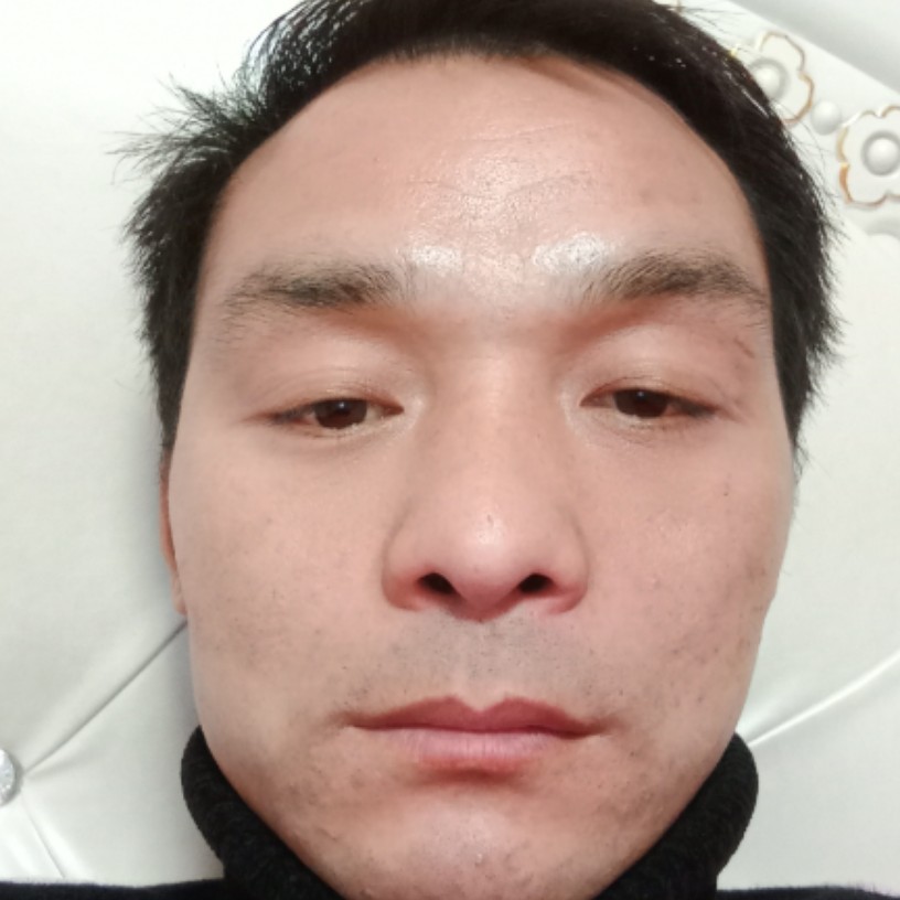 猫咪疯狂的照片