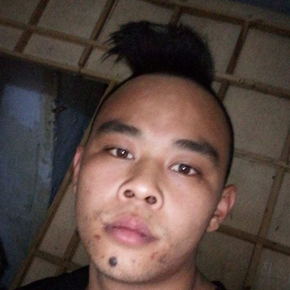 苗条有飞鸟的照片
