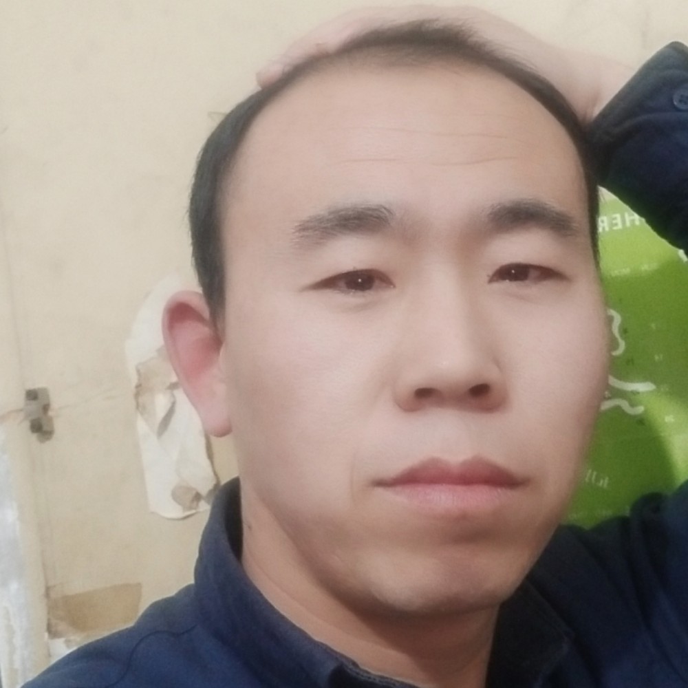 淡淡白猫的照片