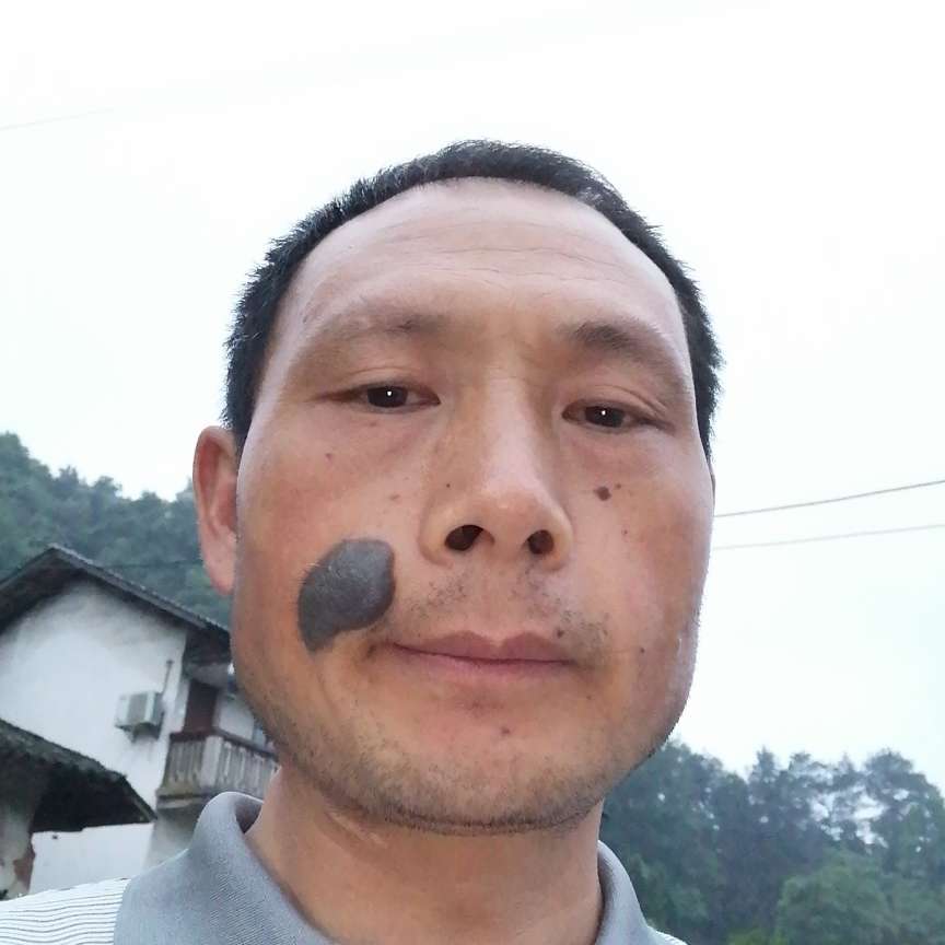 冰棍放弃欣喜的照片