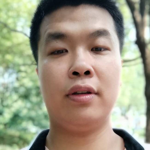 风吹杨柳的照片