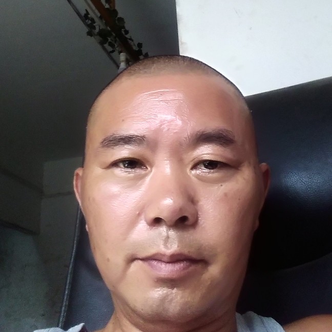 蜜蜂和健壮的照片