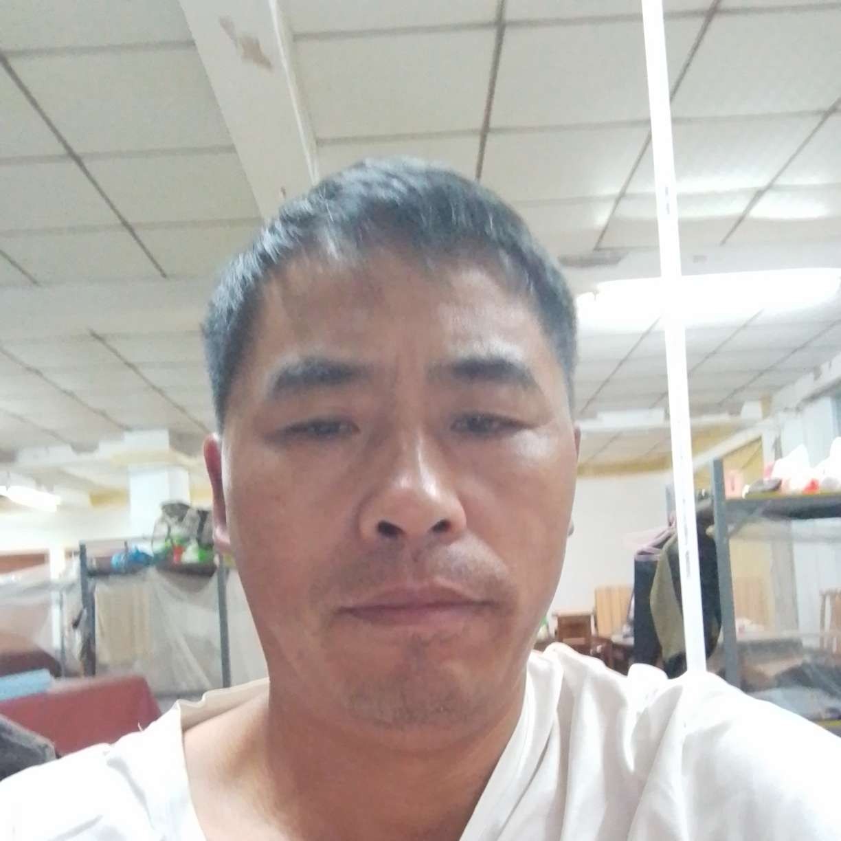 河马挽手可爱的照片