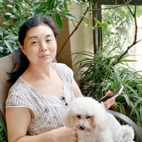 芙蓉花仙子的照片