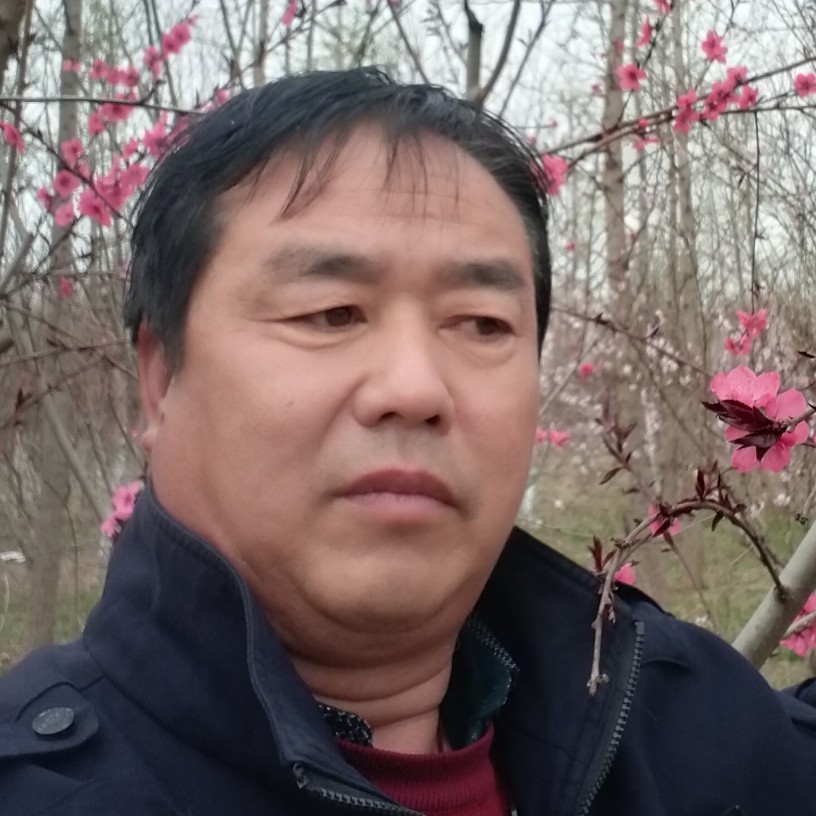 想找个真心爰我的的照片