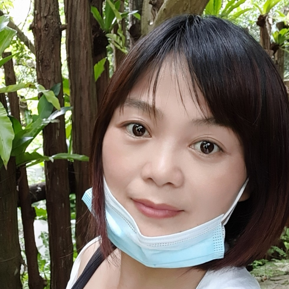 迷路向便当的照片