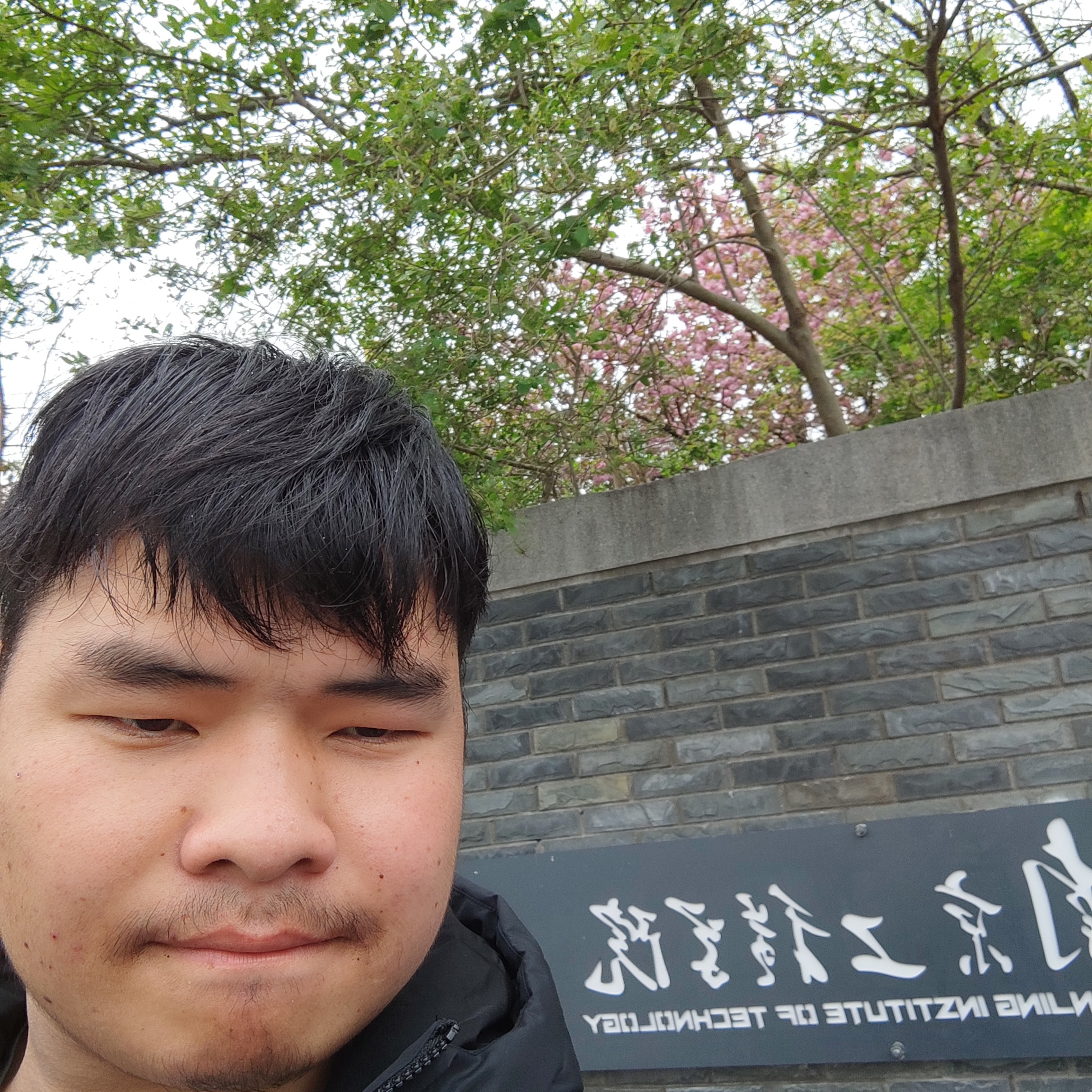 甜美相许翅膀的照片