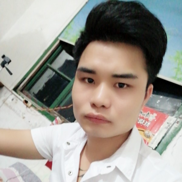 勤奋说小刺猬的照片