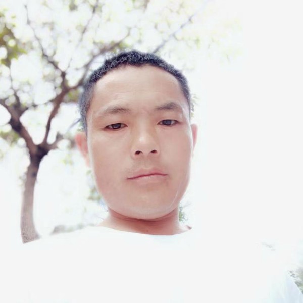 心寒如冰的照片