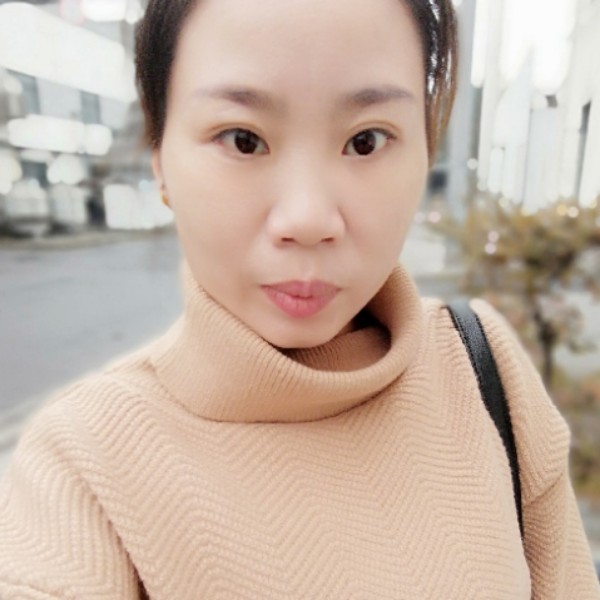 忧虑红玫瑰的照片