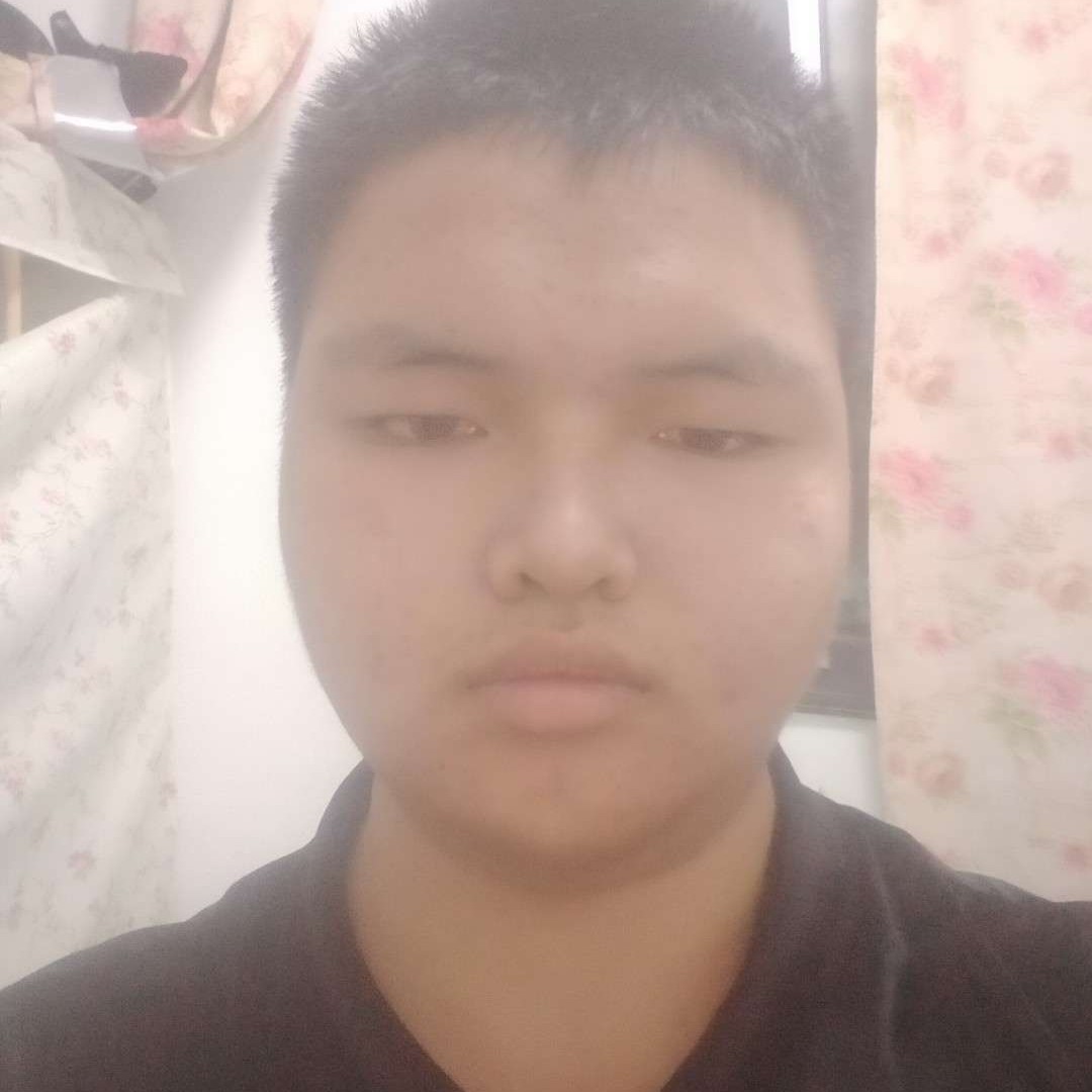 自由和黑夜的照片