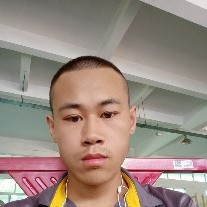 蚂蚁向寂冷的照片