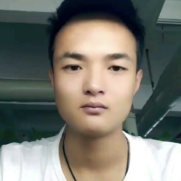 晨阳等于端庄的照片